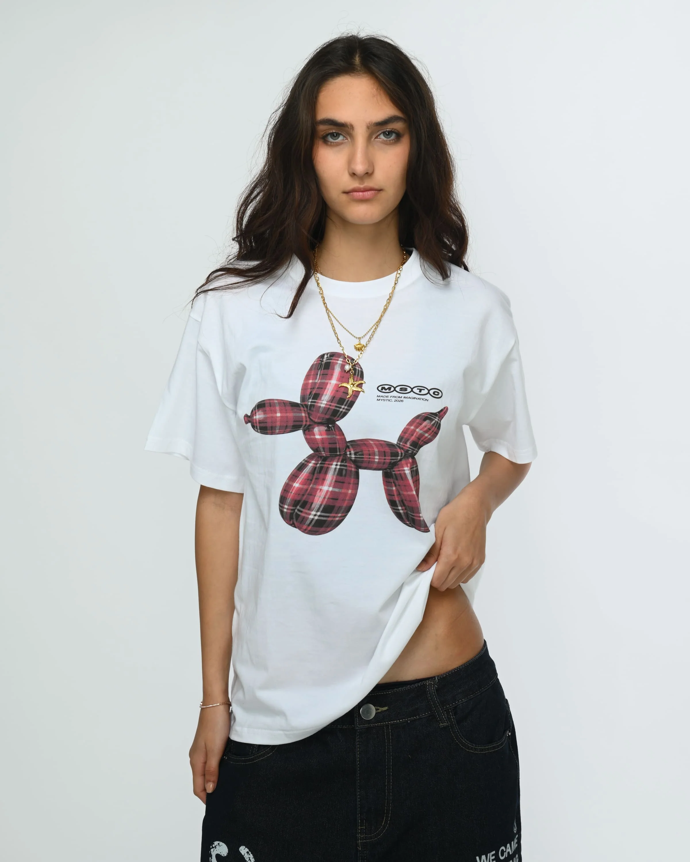 Plaid Balloon - Image 4
